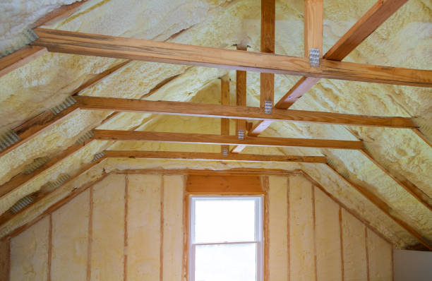 Best Eco-Friendly Insulation in Albion, NY