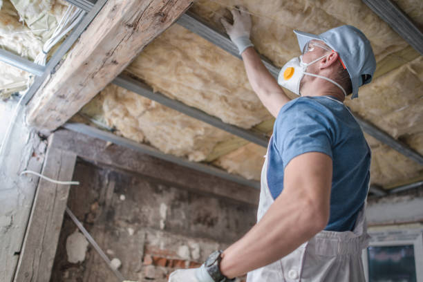 Best Energy Efficiency Insulation in Albion, NY