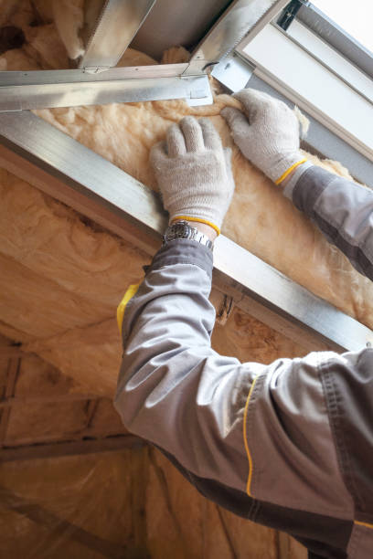 Best Residential Insulation in Albion, NY